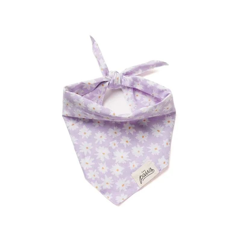 Bandanas - Belle