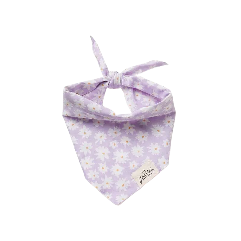 Bandanas - Belle