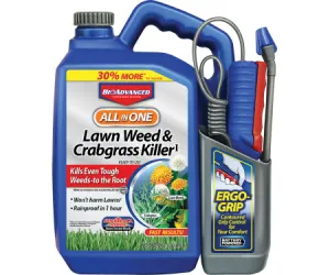 BioAdvanced  All-In-One Lawn Weed & Crabgrass Killer