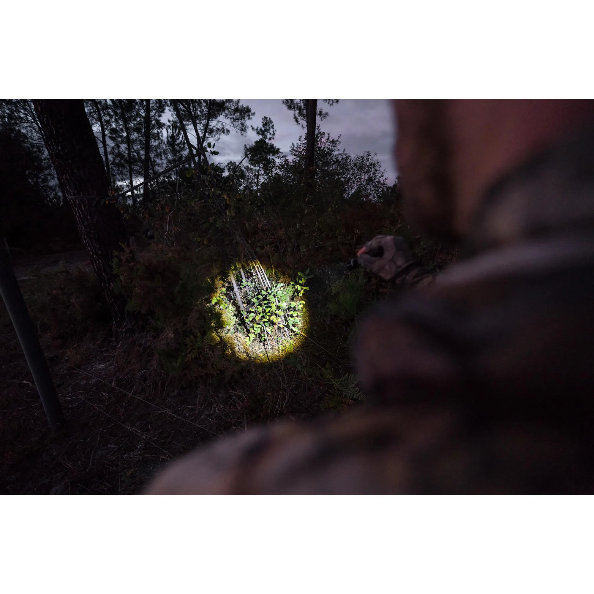 Hunting flashlight 100 lumens zoom black SOLOGNAC, black