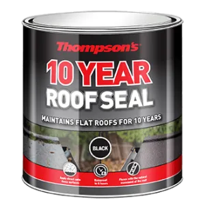 Thompson's  Roof Seal Black 4L